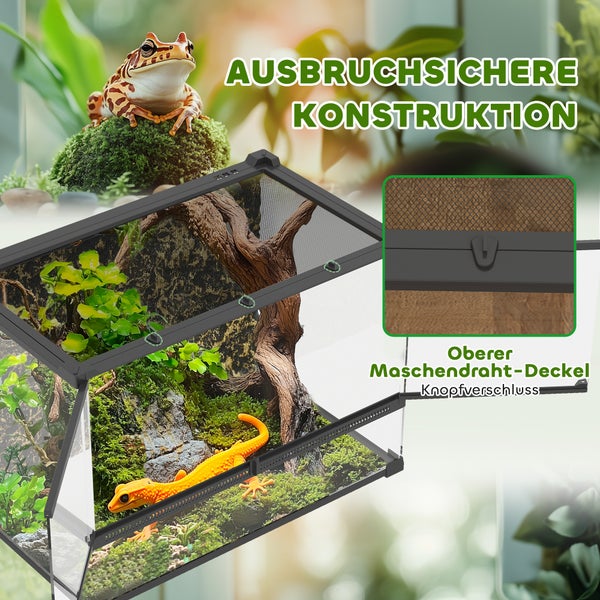 Terrarium für Reptilien mit ausbruchsicherer Konstruktion, Maschendraht-Deckel und Knopfverschluss, Innenausstattung mit Echse und Pflanzen.