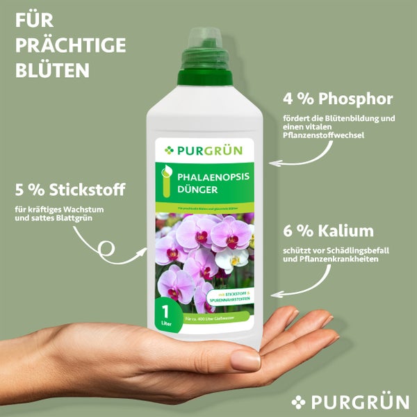 Purgrün Phalaenopsis-Dünger 1 Liter