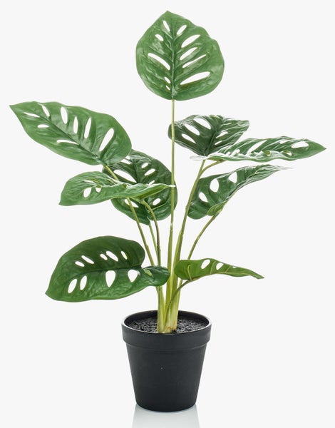 Künstliche Monstera Adansonii Pflanze im schwarzen Topf mit durchlöcherten grünen Blättern.