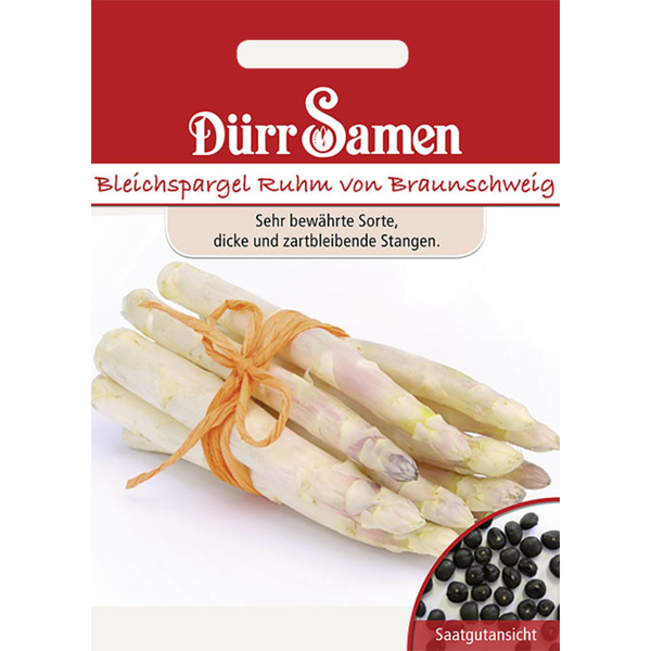 Steckschlüssel-Einsatz mit Innenvielzahn