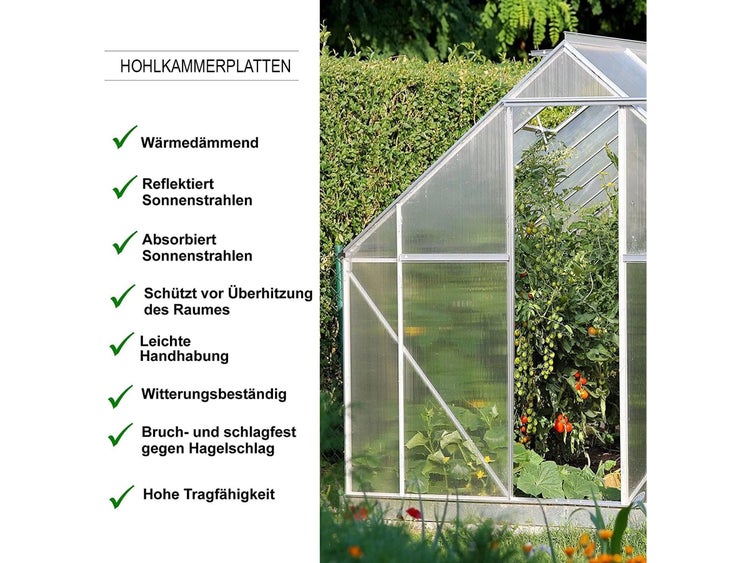 FLOORDIREKT Doppelstegplatte aus Polycarbonat - Stegplatte für Gewächshäuser - 4 mm Stärke - 60,5 x 121 cm - Transparent