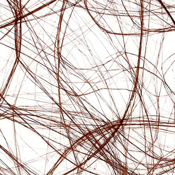 Braune Pflanzenfasern vor hellem Hintergrund