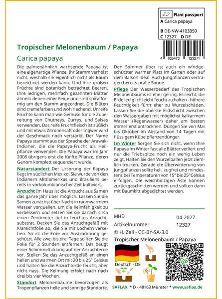 SAFLAX  - Tropischer Melonenbaum / Papaya - Carica papaya - 30 Samen