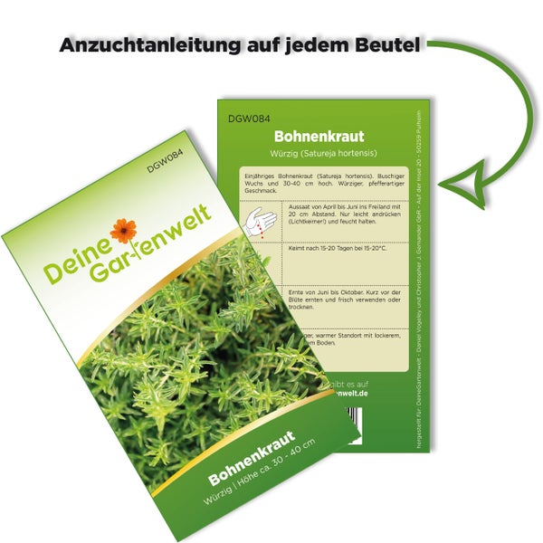 Vorder- und Rückseite einer Samentüte für Bohnenkraut von Deine Gartenwelt mit Anzuchtanleitung.