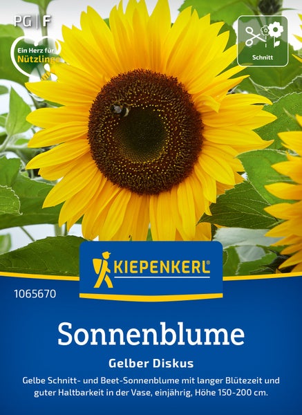 Saatgut Sonnenblume Gelber Diskus von Kiepenkerl als Schnittblume mit langer Blütezeit für das Beet und die Vase.