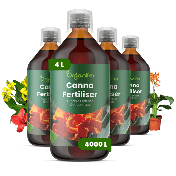 Vier Flaschen Organifer Canna Dünger, organisches Düngerkonzentrat, 4 Liter ergeben 4000 Liter, mit Messkappe und Canna-Blüten.