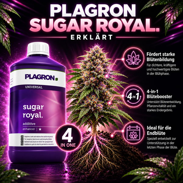 Plagron Sugar Royal 4 in 1 Blütebooster Flasche mit Produktinformationen zur Pflanzenstärkung und Blütenbildung in der Blühphase.