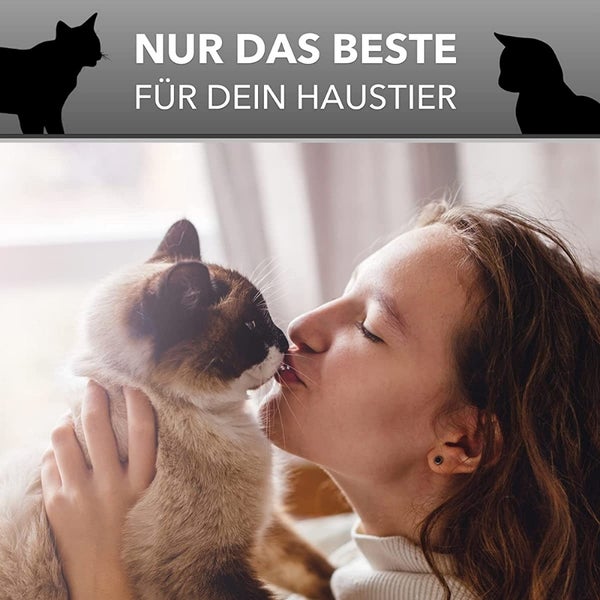 Eine Frau küsst eine Katze: Nur das Beste für Ihr Haustier