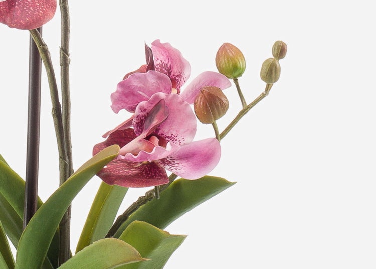 Künstliche Orchidee mit rosa Blüten, grünen Blättern und sichtbaren Wurzeln im schwarzen Topf.