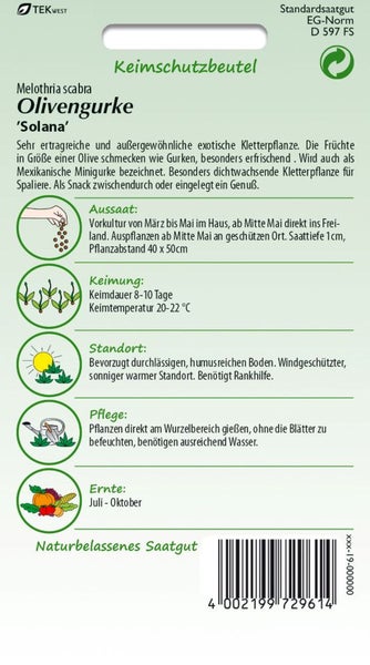 Samenpackung Olivengurke Solana