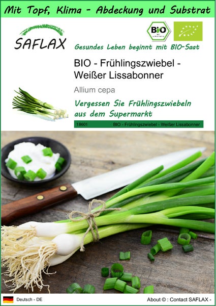 SAFLAX Garden to go - BIO - Frühlingszwiebel - Weißer Lissabonner - Allium cepa - 150 Samen - Mit Topf, Klima - Deckel und Anzuchtsubstrat