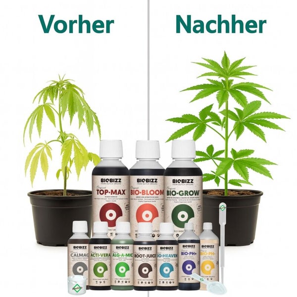 Vorher-Nachher-Vergleich des Pflanzenwachstums mit Biobizz Pflanzendüngern wie Top-Max, Bio-Bloom, Bio-Grow und organischen Zusätzen sowie Zubehör.