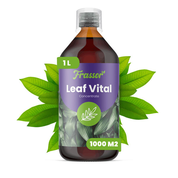 Frassor Leaf Vital Konzentrat, 1 Liter Flasche für 1000 Quadratmeter, Blattstärkungsmittel für Pflanzen.