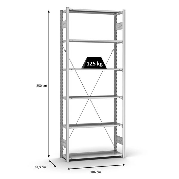 PROREGAL Profi Lagerregal Stecksystem T-Profil Grundregal HxBxT 250 x 100 x 30 cm Fachlast 125 kg Verzinkt