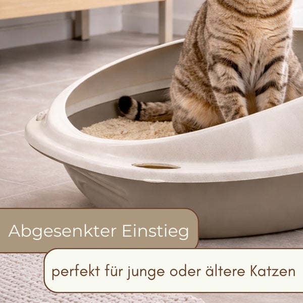 Katzentoilette mit abgesenktem Einstieg für junge oder ältere Katzen, aus beigem Kunststoff, mit einer Katze auf Streu.