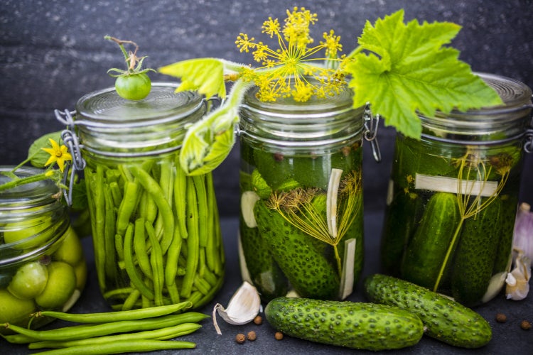 SAFLAX Garden to go - BIO - Gurke - Vorgebirgstraube - Cucumis sativus - 15 Samen - Mit Topf, Klima - Deckel und Anzuchtsubstrat
