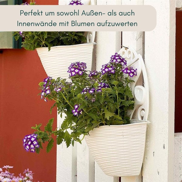 Wandblumentöpfe mit Blumen an einer Wand