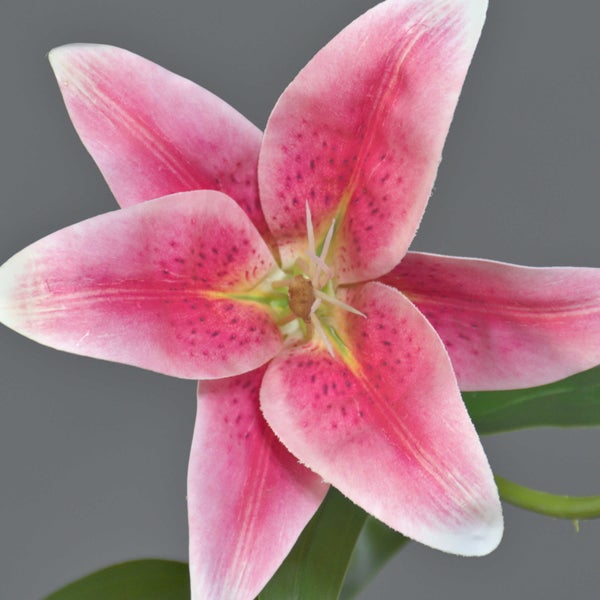 Künstliche orientalische Lilienblüte mit rosa gepunkteten Blütenblättern und grünem Stiel.