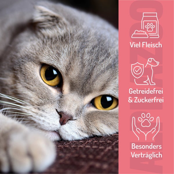 Nahaufnahme einer Katze mit Symbolen für viel Fleisch, getreide- und zuckerfrei sowie besonders verträglich