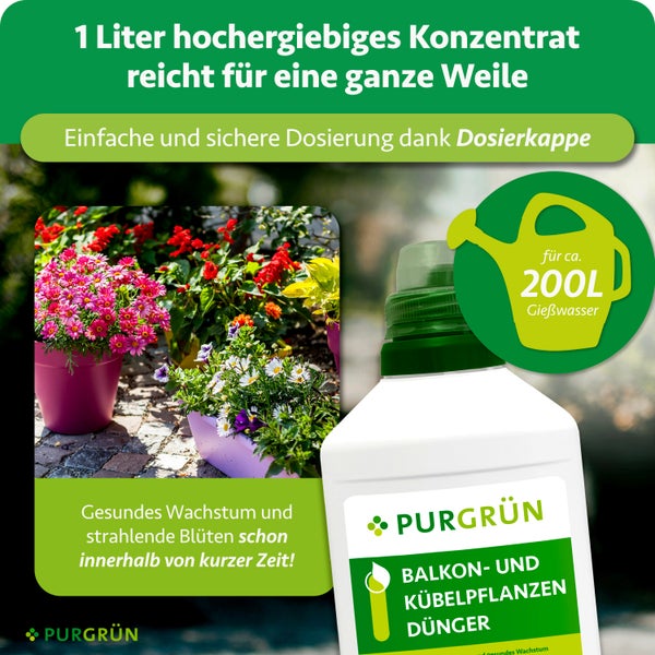 Purgrün Balkon- und Kübelpflanzendünger, 1 Liter Konzentrat für circa 200 Liter Gießwasser mit Dosierkappe und blühenden Pflanzen. Purgrün Logo.