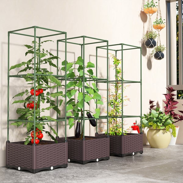 Drei quadratische Pflanzkästen in Flechtoptik mit Rankgittern auf einer hellen Terrasse, bepflanzt mit Tomaten, Auberginen und Rankpflanzen.