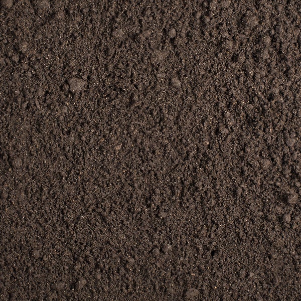 Nahaufnahme von Pflanzerde