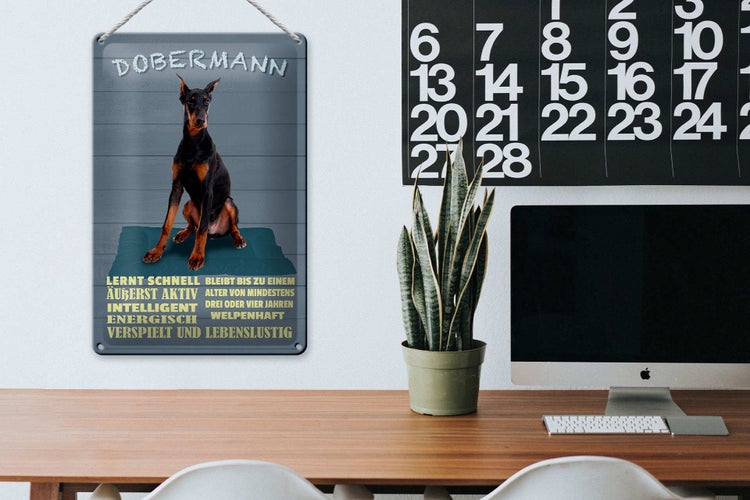 Blechschild Spruch 20x30cm Dobermann lernt schnell Hund