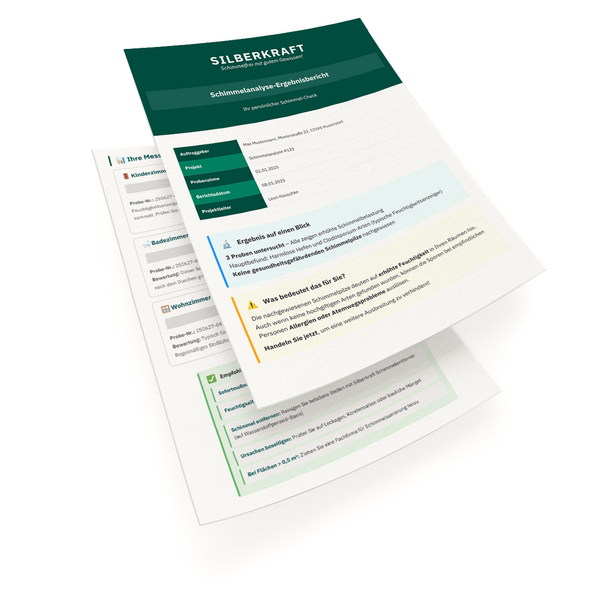 Silberkraft Schimmelanalyse Ergebnisbericht mit Informationen zu Schimmelbelastung, Ursachen und Sofortmaßnahmen