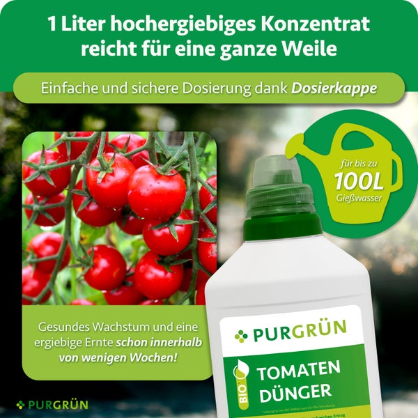 Purgrün Tomatendünger Flüssigkonzentrat in einer Flasche, ausreichend für bis zu 100 Liter Gießwasser, inklusive Dosierkappe für Bioanbau.