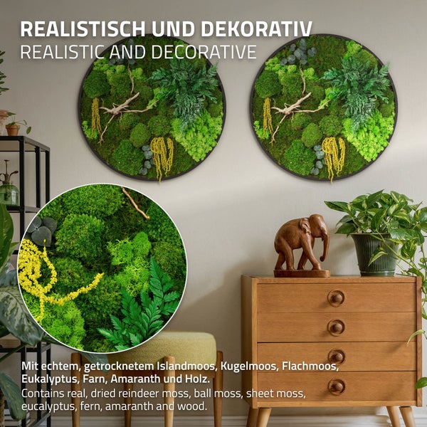 Zwei runde Wandbilder mit echtem, getrocknetem Moos, Farn, Eukalyptus, Amaranth und Holz in einem Wohnraum als dekorative Wandgestaltung.