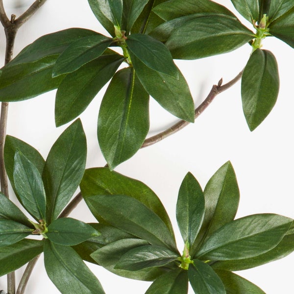 Nahaufnahme eines künstlichen Rhododendronzweigs mit strukturierten grünen Blättern an braunen Ästen.