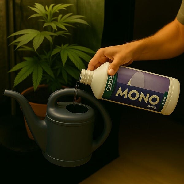 Hand gießt Canuni Mono Pflanzendünger aus der Flasche in eine Gießkanne neben einer Pflanze im Topf.