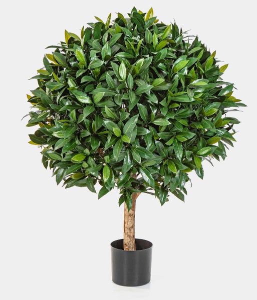 Künstlicher Lorbeerbaum in Kugelform im schwarzen Topf.