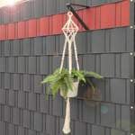 Pflanze in Makramee-Hängeampel vor einem Zaun