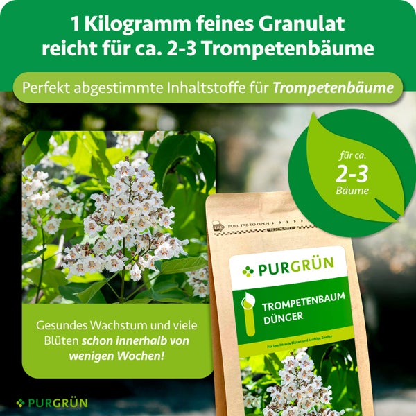 Purgrün Trompetenbaum-Dünger, 1 Kilogramm feines Granulat für circa 2 bis 3 Bäume, für gesundes Wachstum und viele Blüten, Purgrün Logo.