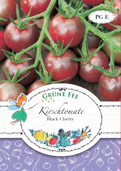 Grüne Fee Kirschtomate Black Cherry an der Rispe.