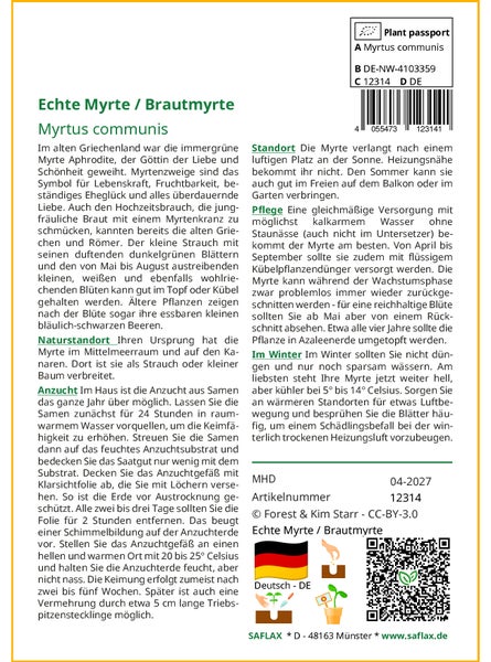 SAFLAX Garden to go - Echte Myrte / Brautmyrte - Myrtus communis - 30 Samen - Mit Topf, Klima - Deckel und Anzuchtsubstrat