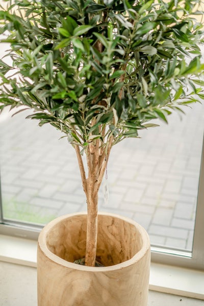 Knstlicher Olivenbaum 150 cm | HORNBACH