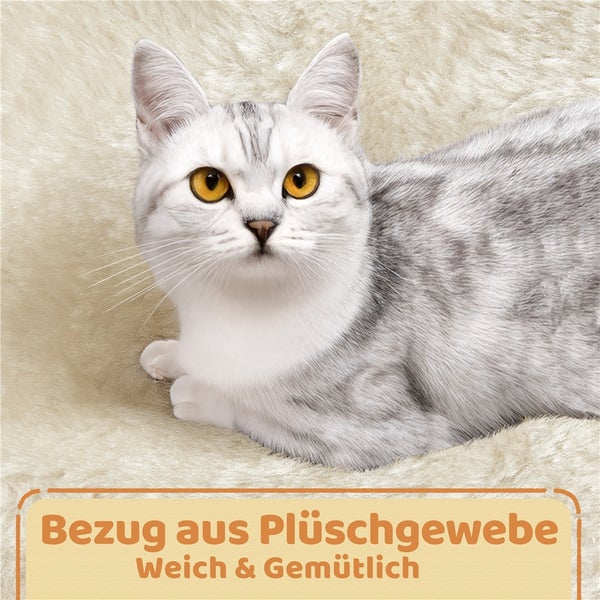 Silber getigerte Katze liegt auf Plüschgewebe