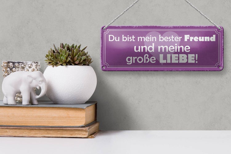 Blechschild Spruch 27x10cm bester Freund und große Liebe Dekoration