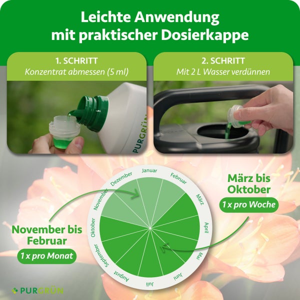 Anleitung für Flüssigdünger. Schritt 1: 5 Milliliter abmessen. Schritt 2: Mit 2 Liter Wasser verdünnen. Inklusive Düngekalender. Purgrün Logo.