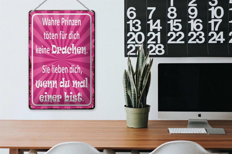Blechschild Spruch 20x30cm wahre Prinzen töten keine