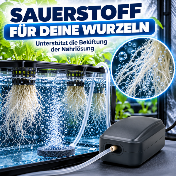 Hydroponik Luftpumpe für die Sauerstoffversorgung von Pflanzenwurzeln in einer Nährlösung mit Belüfterstein und Schlauch.