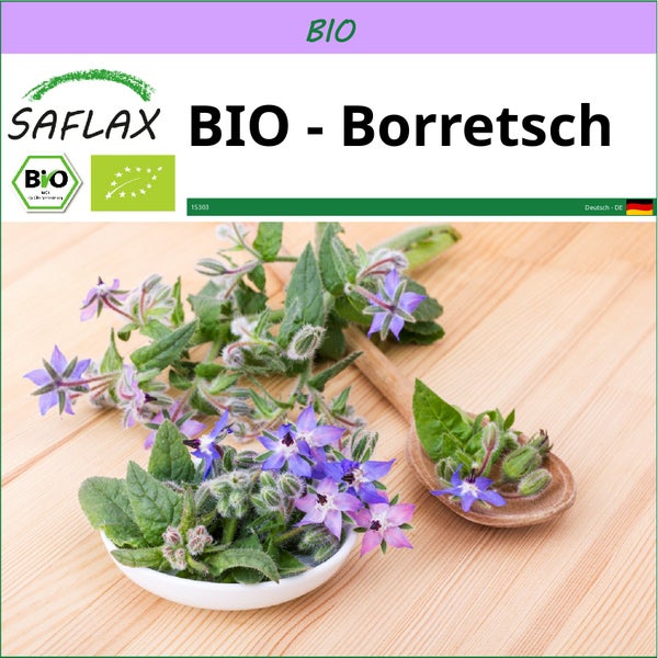 SAFLAX  - BIO - Borretsch - Borago officinalis - 40 Samen