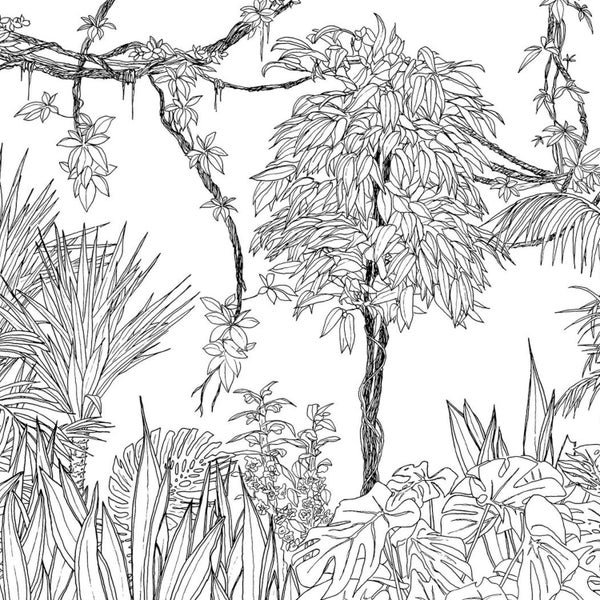 Illustration von tropischen Pflanzen und Lianen