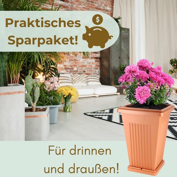 Dekoratives Zimmer mit Topfpflanzen und dem Hinweis praktisches Sparpaket für drinnen und draußen