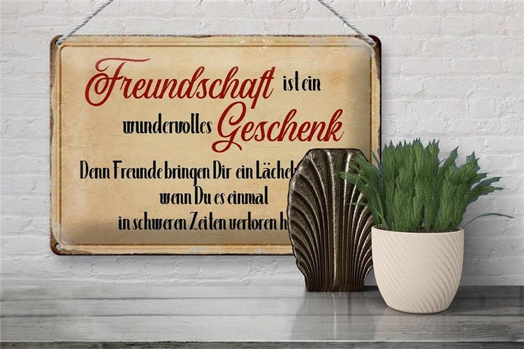 Blechschild Spruch 30x20cm Freundschaft ist ein wundervolles