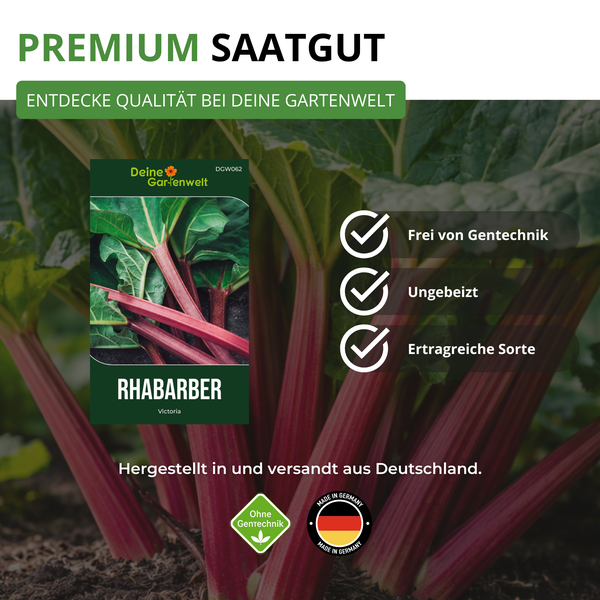 Samentüte für Rhabarber Victoria von Deine Gartenwelt Logo vor wachsendem Rhabarber. Frei von Gentechnik, ungebeizt und ertragreich. Hergestellt in Deutschland.