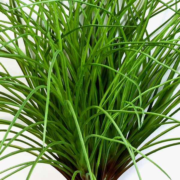 Künstliche Hängepflanze mit feinen grünen Blättern in Farn-Optik.