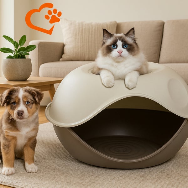 Katze und Hund vor einer Haustierhöhle im Wohnzimmer